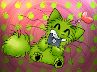 Sham the Puffy cat